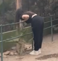 Capture d'écran 2025-11-11 203204.png