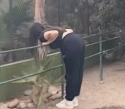 Capture d'écran 2025-11-11 203208.png