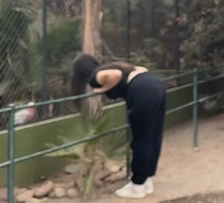 Capture d'écran 2025-11-11 203219.png