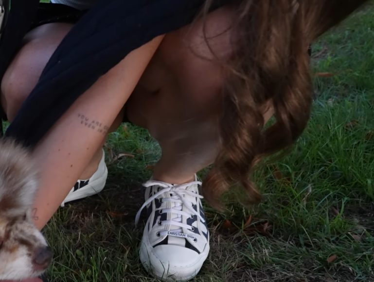 Capture d’écran 2026-01-01 005650.png