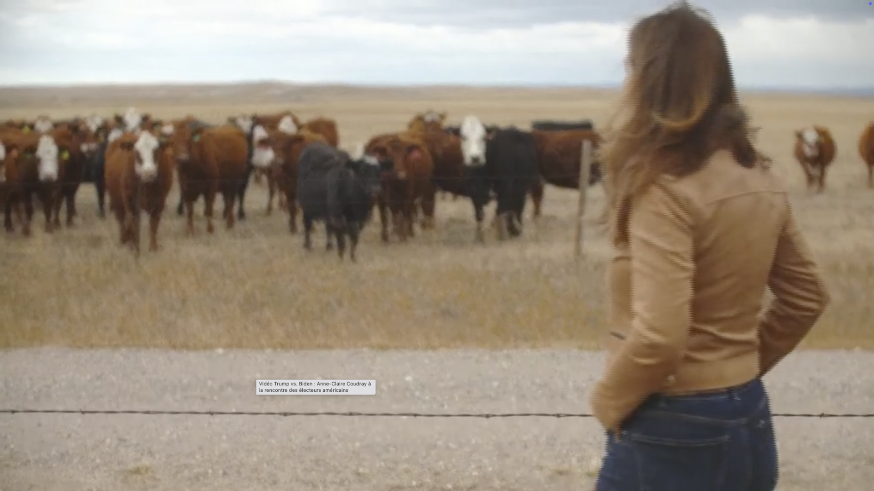 Capture d’écran 2026-01-30 à 08.44.19.png