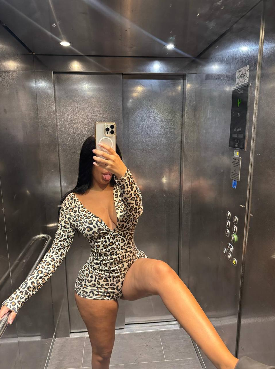 Capture d'écran 2026-02-19 202903.png