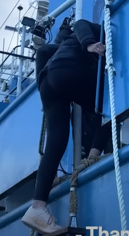 littlebigwhale101.png