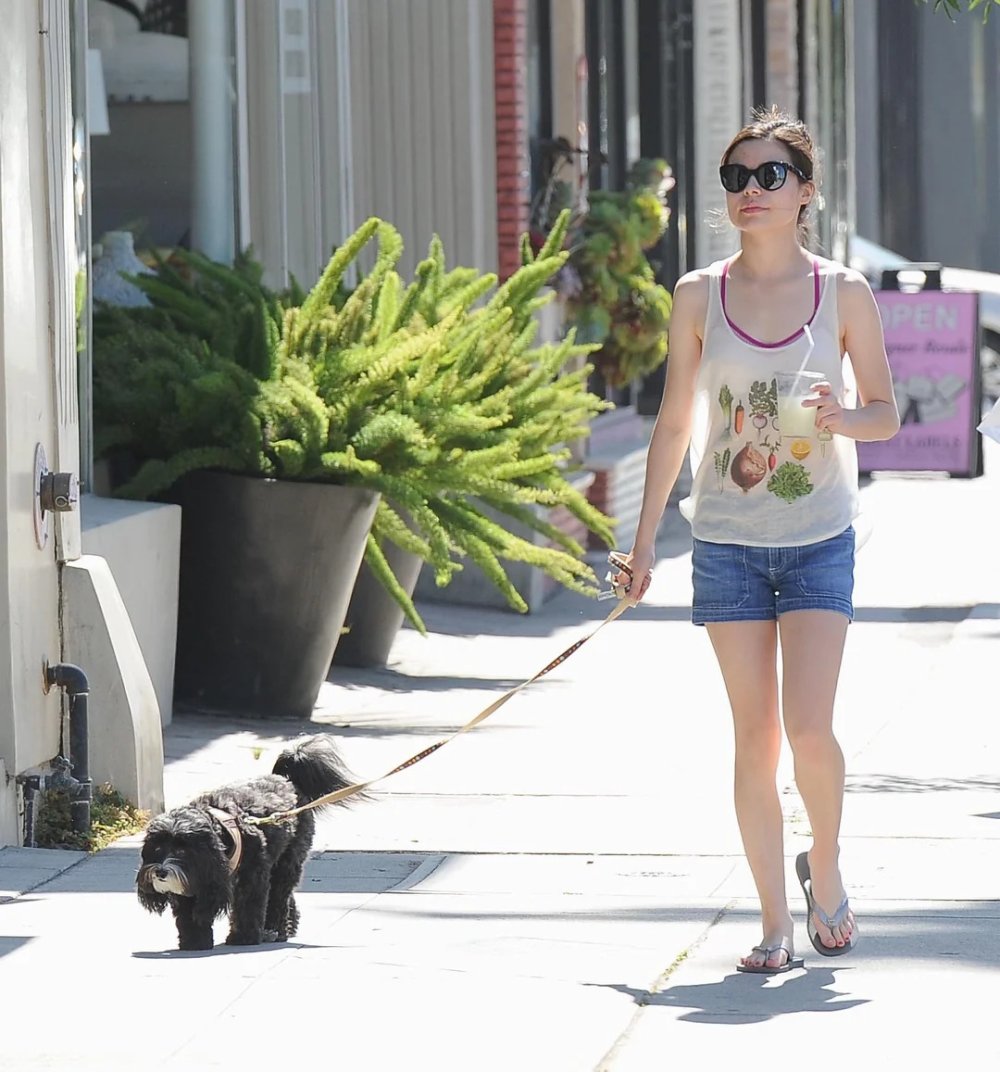 lucky-doggy-v0-1girwxfycagd1.jpg