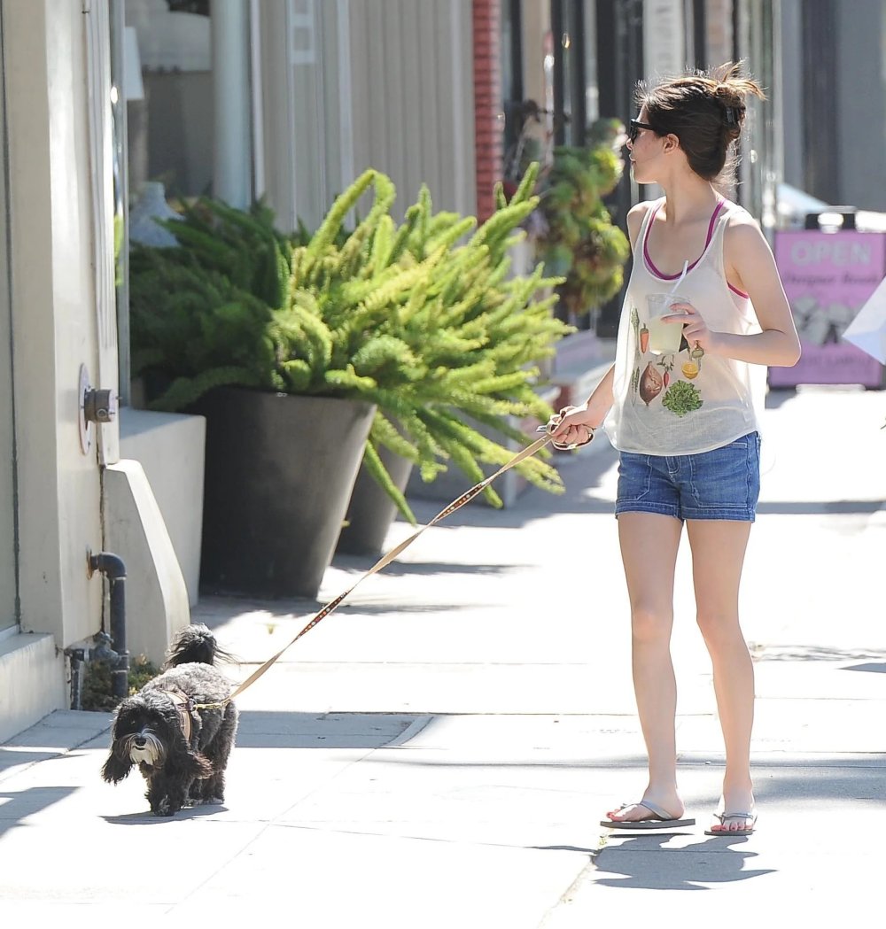 lucky-doggy-v0-aicz1yfycagd1.jpg
