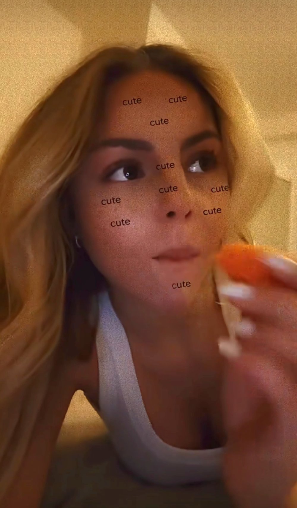 22882230-203203.jpg