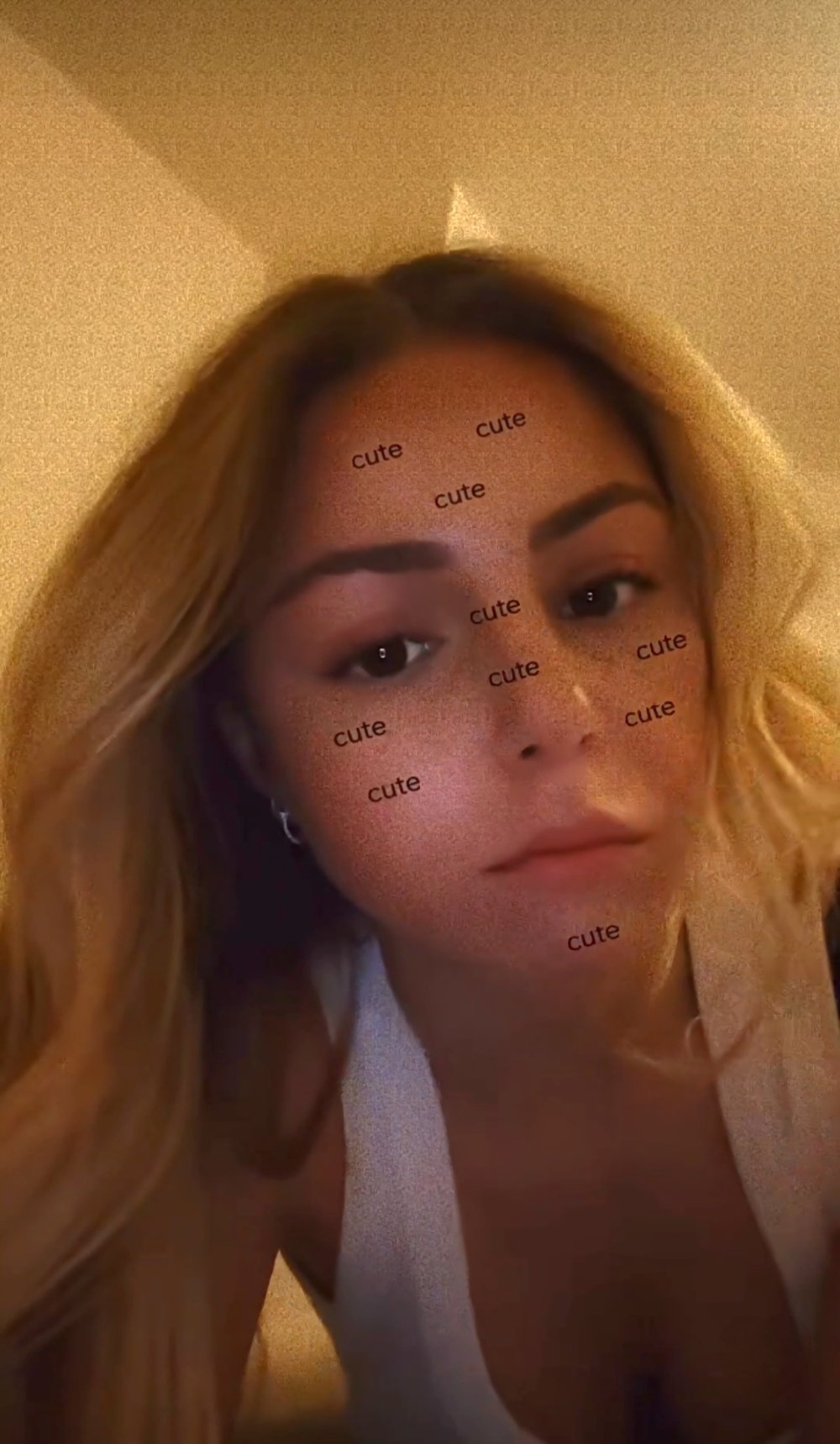 228831230-203150.jpg