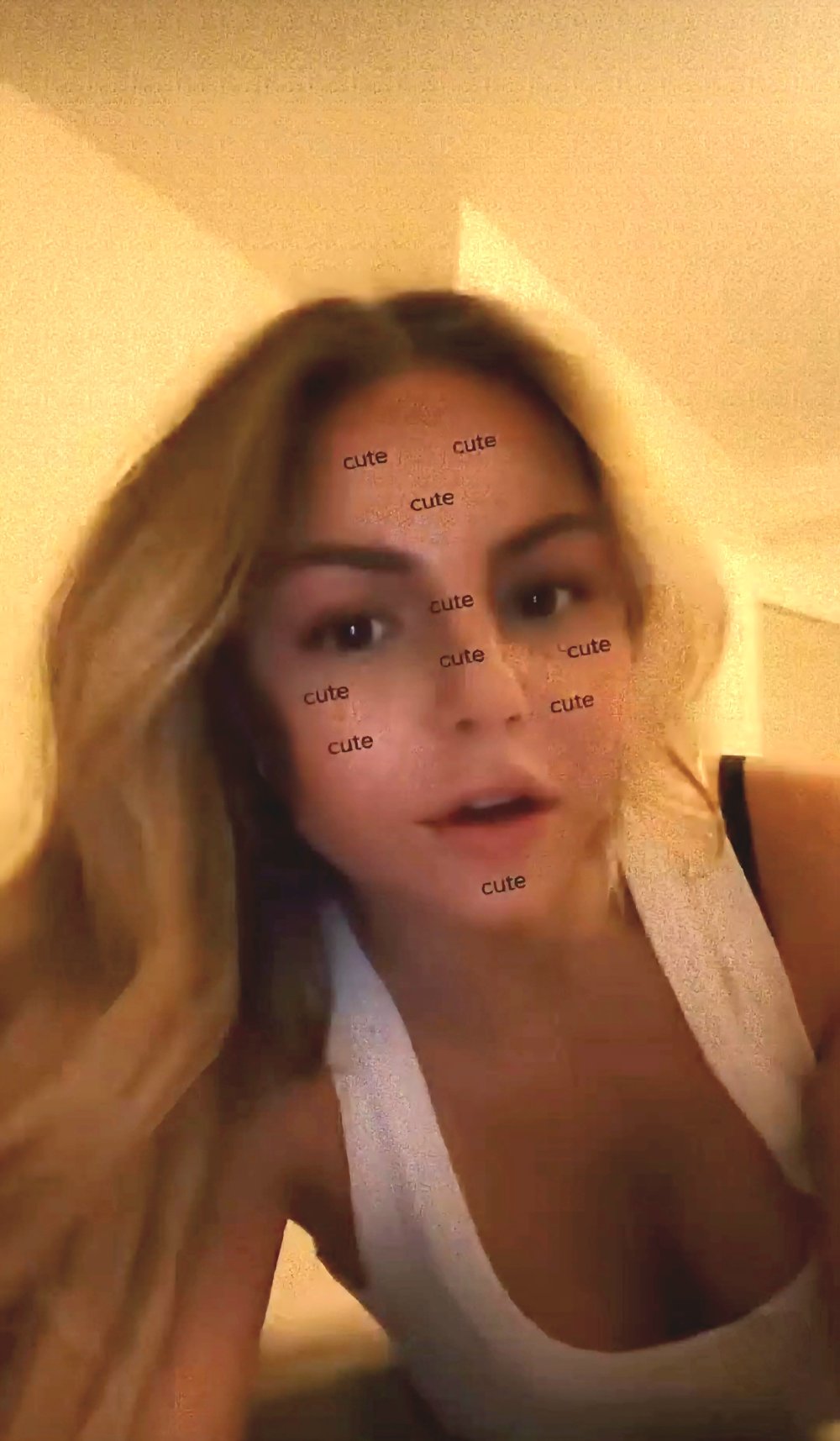 83381230-202945.jpg