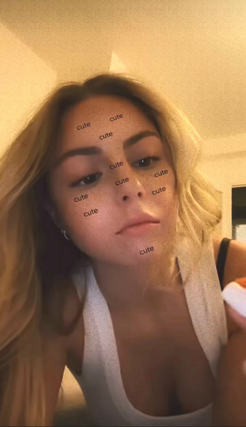 38841230-203033.jpg