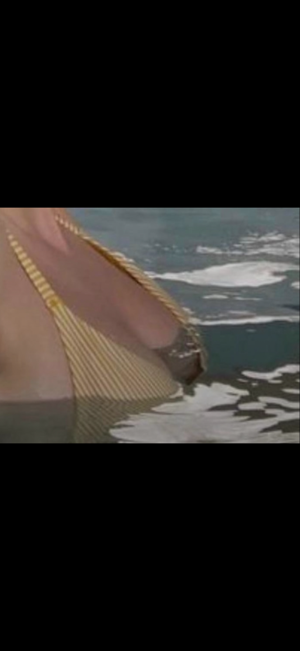 IMG_0876.png