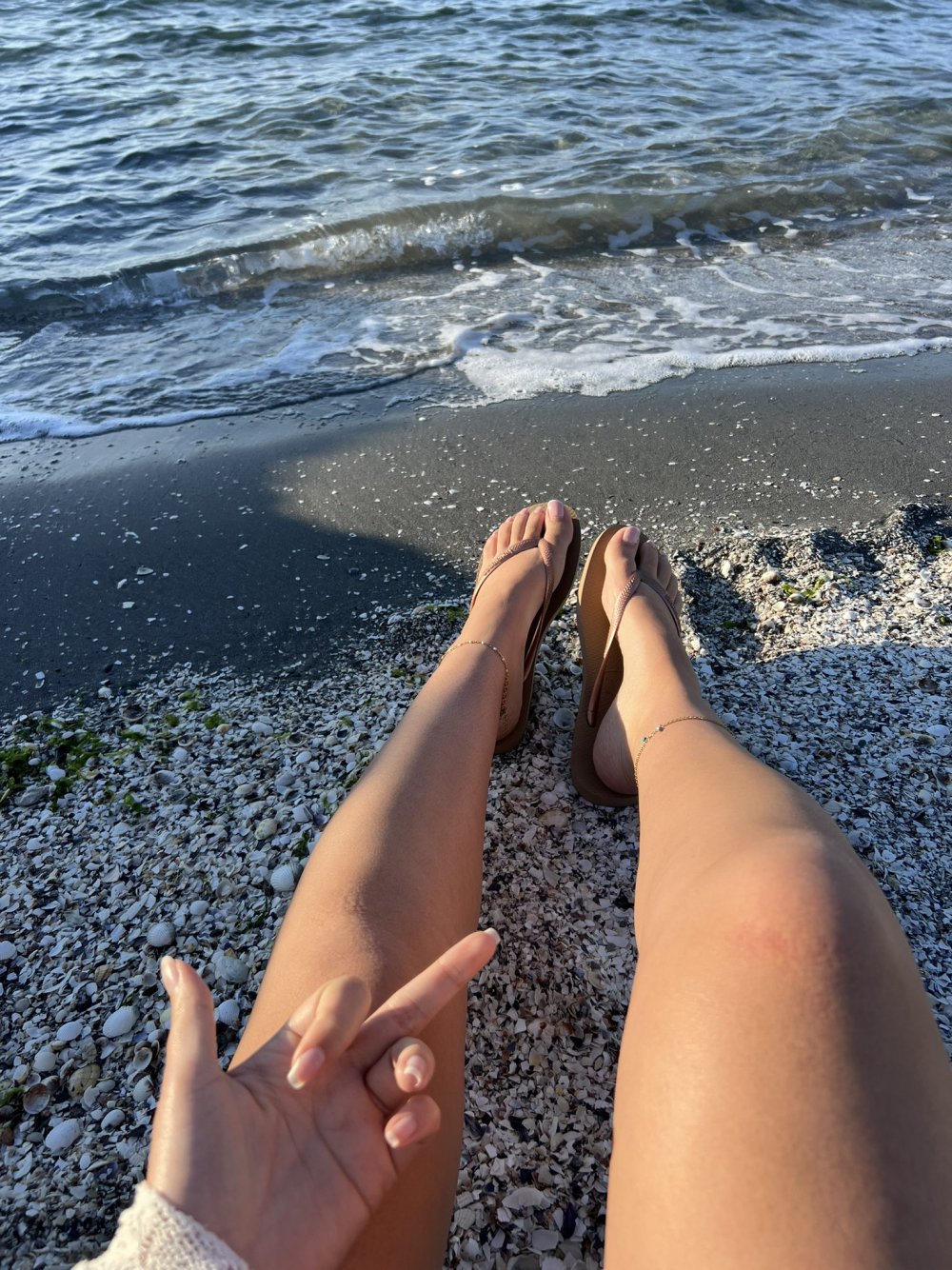 IMG_2031.jpeg