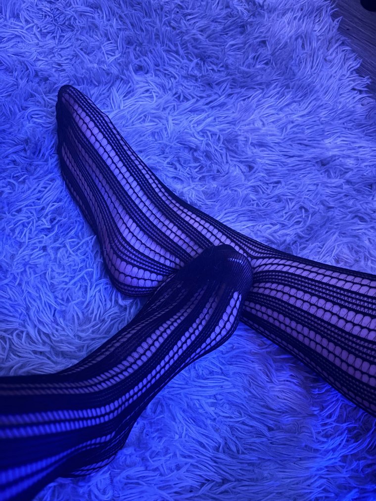 header.jpg