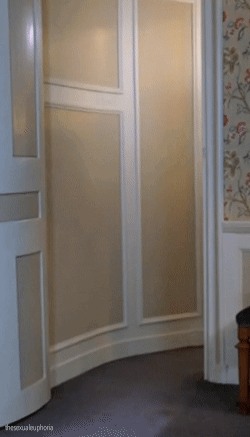 tumblr_orf84vsnyk1s6oo3bo1_400.gif