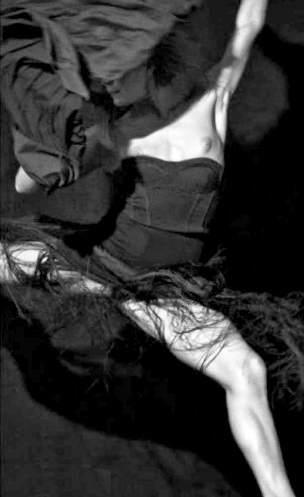 fauve-hautot-nue-seins-sexy-1.jpg