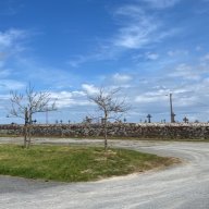Treas