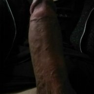 zdfgbbxcv231
