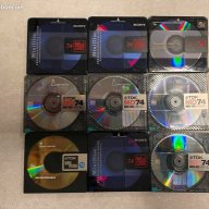 turtleanthropologist