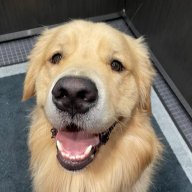 Jaipaslecoeuranasdas