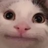Faker_