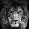 Rebeu.Damour666