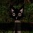 nekog